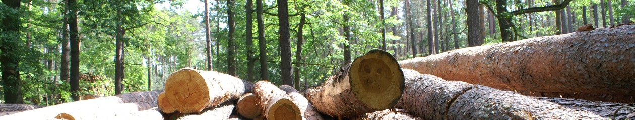 Zimmerei-Holzbau GmbH