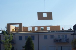 holzra001